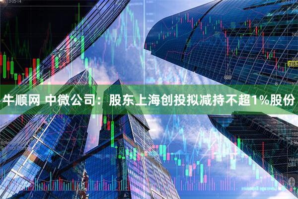 牛顺网 中微公司：股东上海创投拟减持不超1%股份